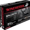 Winchester BALLISTIC SILVERTIP .300 Winchester Magnum 180 grain