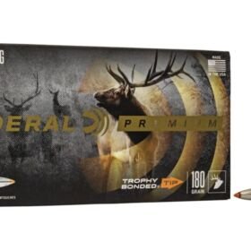 Federal Premium VITAL-SHOK .300 H&H Magnum 180 grain Trophy Bonded Tip - 500 Rounds