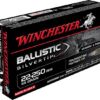 Winchester BALLISTIC SILVERTIP .22-250 Remington 55 grain Fragmenting Polymer Tip Centerfire Rifle Ammunition SBST22250B