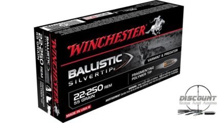 Winchester BALLISTIC SILVERTIP .22-250 Remington 55 grain Fragmenting Polymer Tip Centerfire Rifle Ammunition SBST22250B
