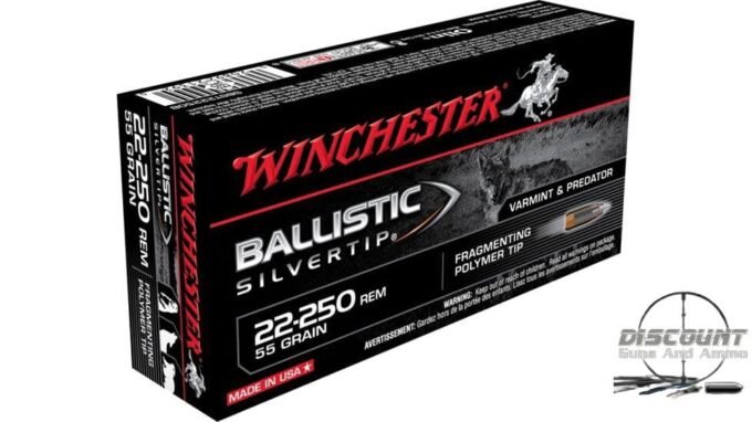 Winchester BALLISTIC SILVERTIP .22-250 Remington 55 grain Fragmenting Polymer Tip Centerfire Rifle Ammunition SBST22250B
