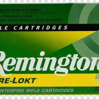 Remington Express .30-06 Springfield Ammunition 500 Rounds 180 Grain Core-Lokt Soft Point Projectile 2700fps