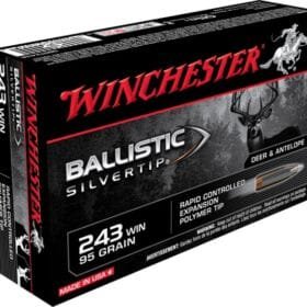 WINCHESTER BALLISTIC-SILVERTIP 95 Grain 500 Rds