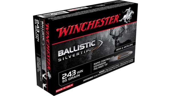 WINCHESTER BALLISTIC-SILVERTIP 95 Grain 500 Rds