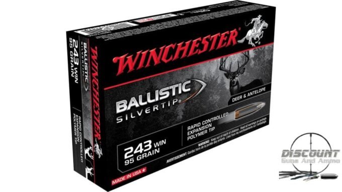WINCHESTER BALLISTIC-SILVERTIP 95 Grain 500 Rds