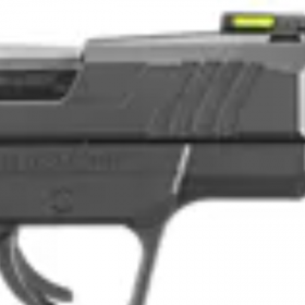 Ruger MAX-9 Semi-Auto Pistol Without Thumb Safety