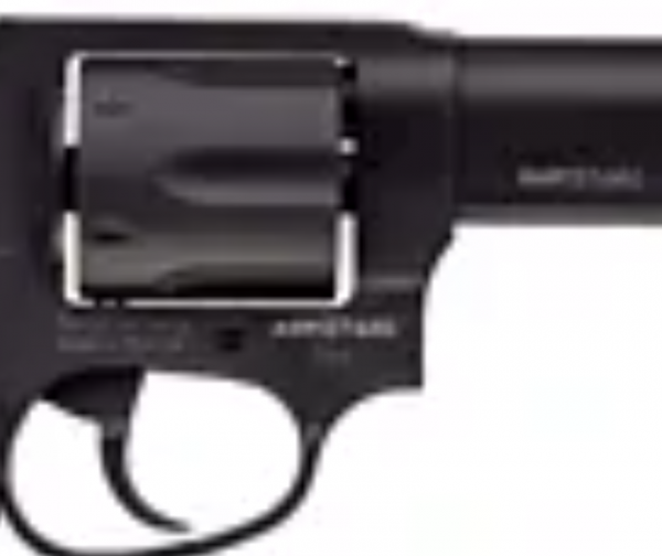 Taurus Defender 856 38 Special Double/Single-Action Revolver - Matte Black