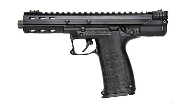 Kel-Tec CP33 - Image 3