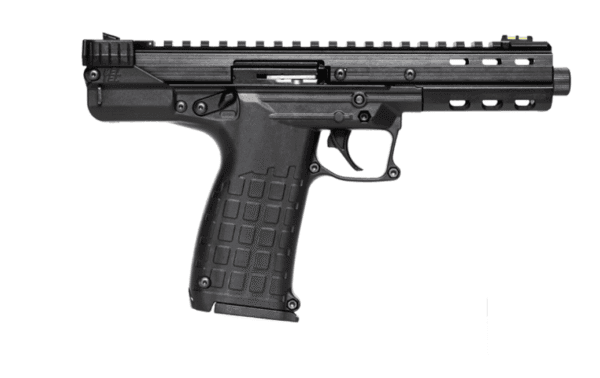 Kel-Tec CP33 - Image 2