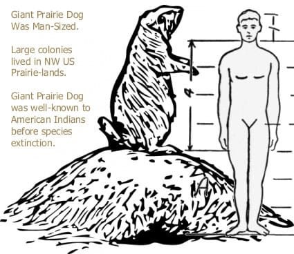giant-man-sized-prairie-dogs-once-lived-in-the-northwest