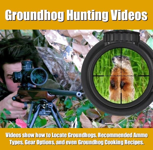 saturday-movies:-spring-groundhog-hunting-video-showcase