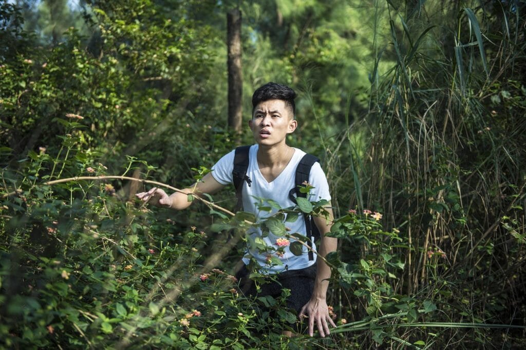 still-more-survival-myths-–-rely-on-these-at-your-peril