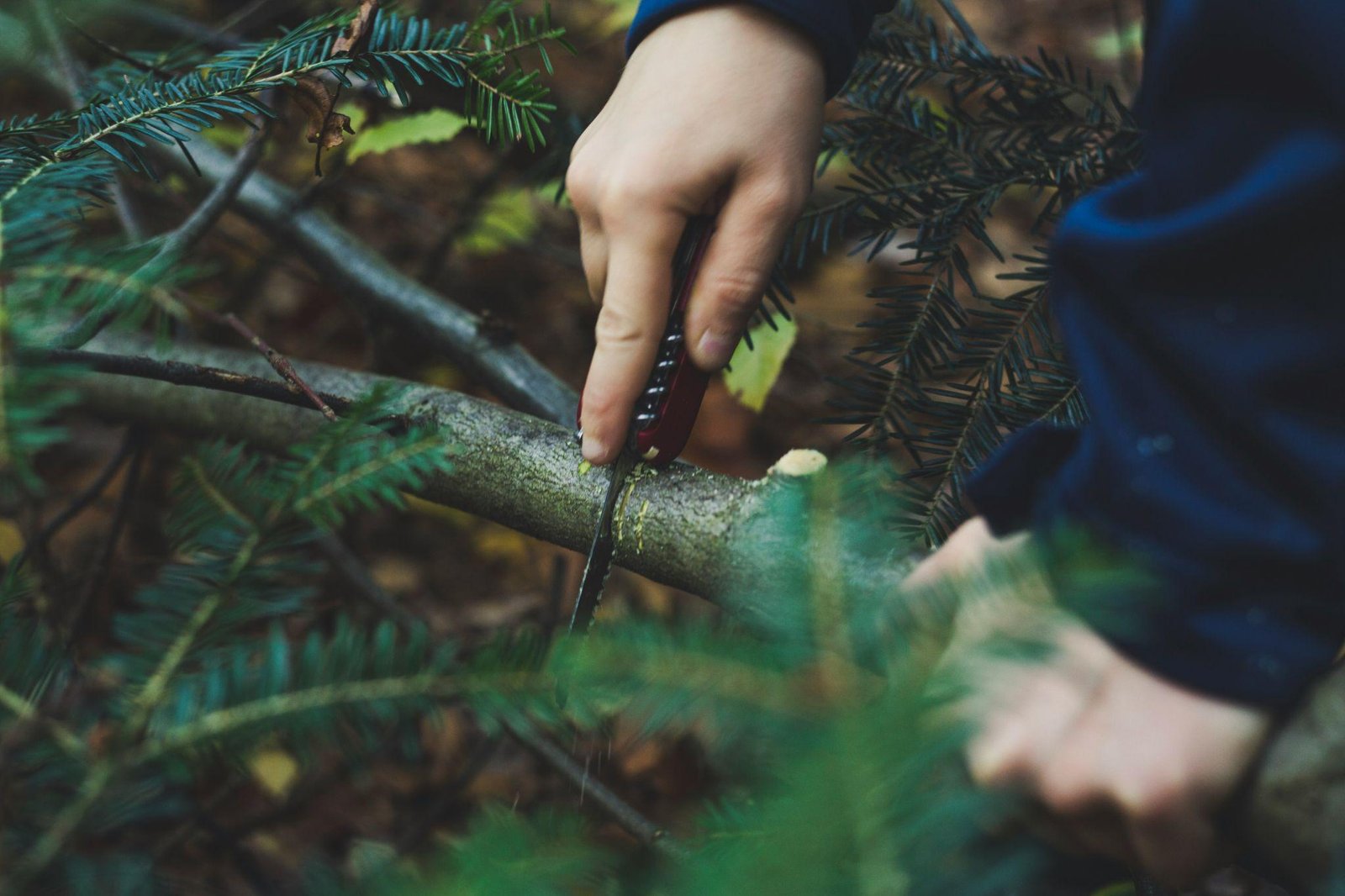 bushcraft:-how-to-choose-a-survival-knife