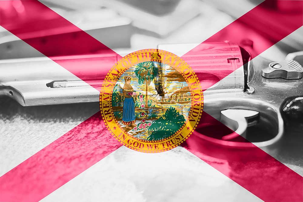 hb-759-clears-florida-house,-but-senate-hesitates-on-gun-rights-reform