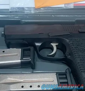 ‘moral-character’-gun-law-stands—for-now