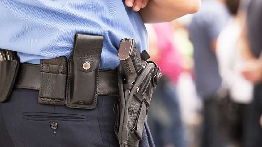 licensed-gun-owner-&-marine-veteran’s-service-dog-shot-by-police:-who’s-really-at-fault-here?-~-video