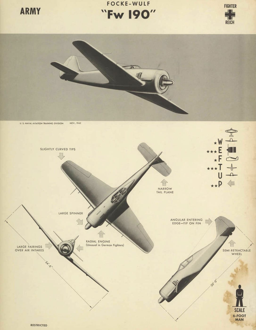 focke-wulf-fw-190-—-german-luftwaffe’s-workhorse