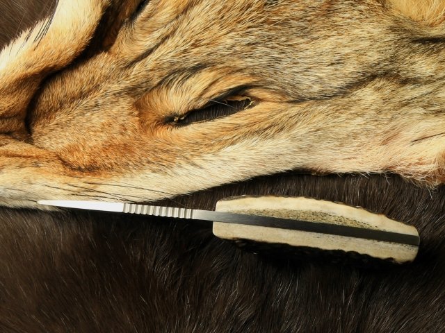 spring-hunting-knife-sets