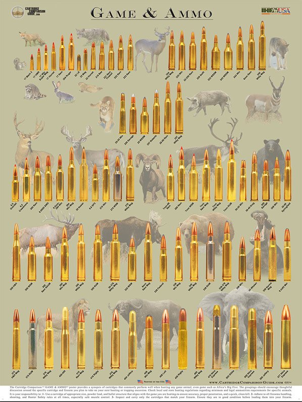 impressive-big-wall-posters-show-true-to-size-cartridges