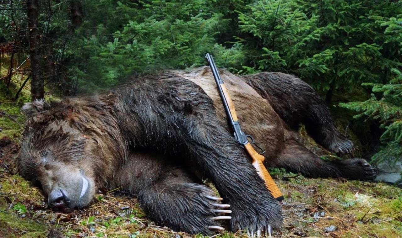 big-bore-rifles-for-bear-defense:-what-you-need-to-know