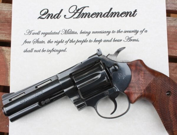 DOJ Announces Second Amendment Task Force Second Amendment