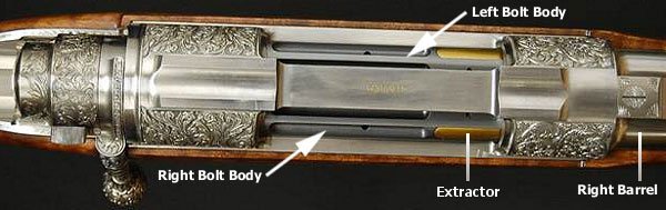 double rifle