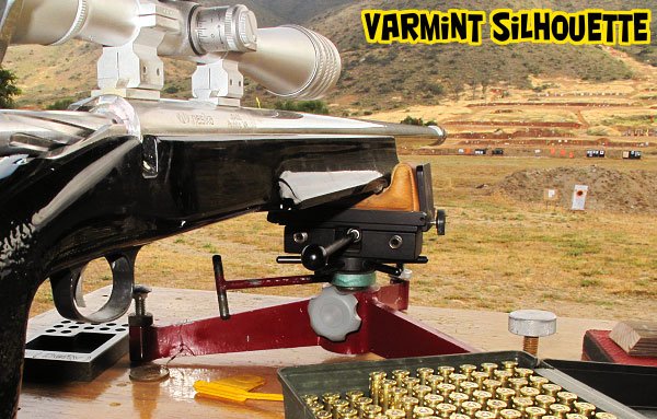 Varmint Silhouette