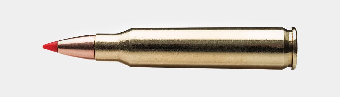 Black Hills .223 Rem