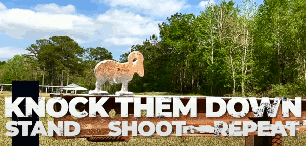 silhouette shooting benchrest steel targets video showcase Erich Mietenkorte