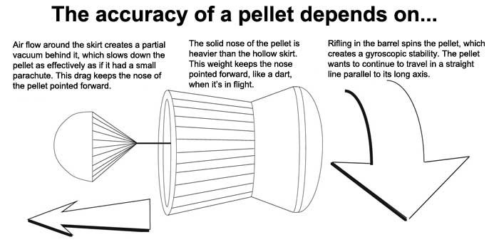 Zimmerstutzen pellet graphic