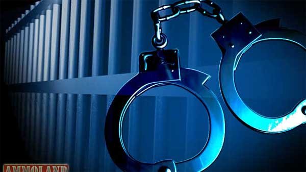 arresting-a-judge?-about-time-or-a-mistake-by-the-fed-~-video