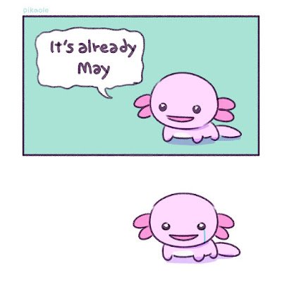 thank-god-it’s-memeday…