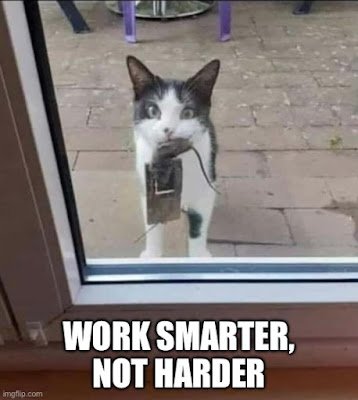midweek-memes…