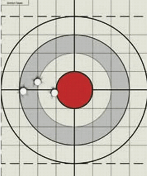 NSSF Chris Cheng Pistol Accuracy Handgun Shooting Skills