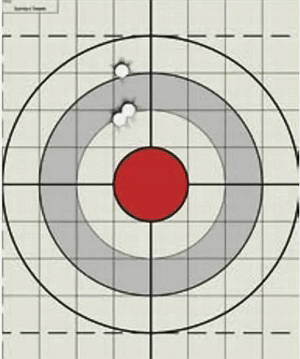 NSSF Chris Cheng Pistol Accuracy Handgun Shooting Skills