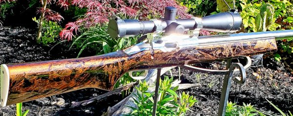 .284 Win remage rifle claro Walnut