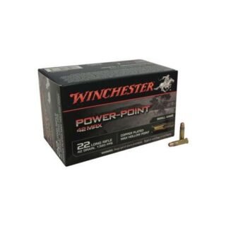 Winchester Power-Point 22LR 42gr Ammunition - Winchester 42 Max Rimfire ammunition