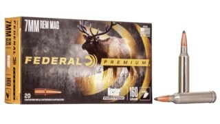 Rifle Ammo