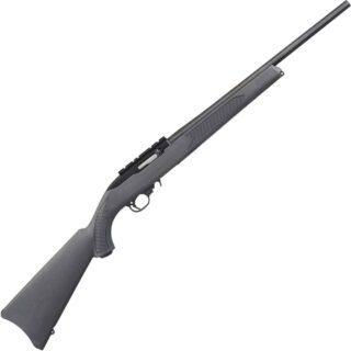 Ruger 10/22 Carbine Black/Charcoal Semi Automatic Rifle - 22 Long Rifle
