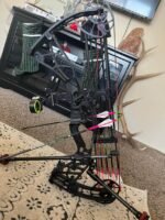 Hoyt bowHoyt bow
