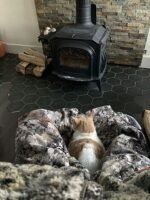 Sitka Gear Fanatic Bib Whitetail / Optifade Elevated II - Image 4