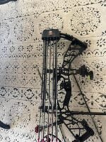 Hoyt bowHoyt bow - Image 3