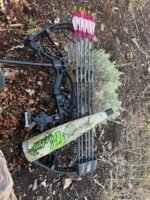 Hoyt bowHoyt bow - Image 2